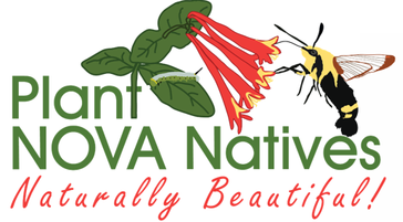 Plant NOVA Natives